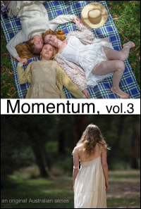 Momentum - Vol. 3 - Softversion